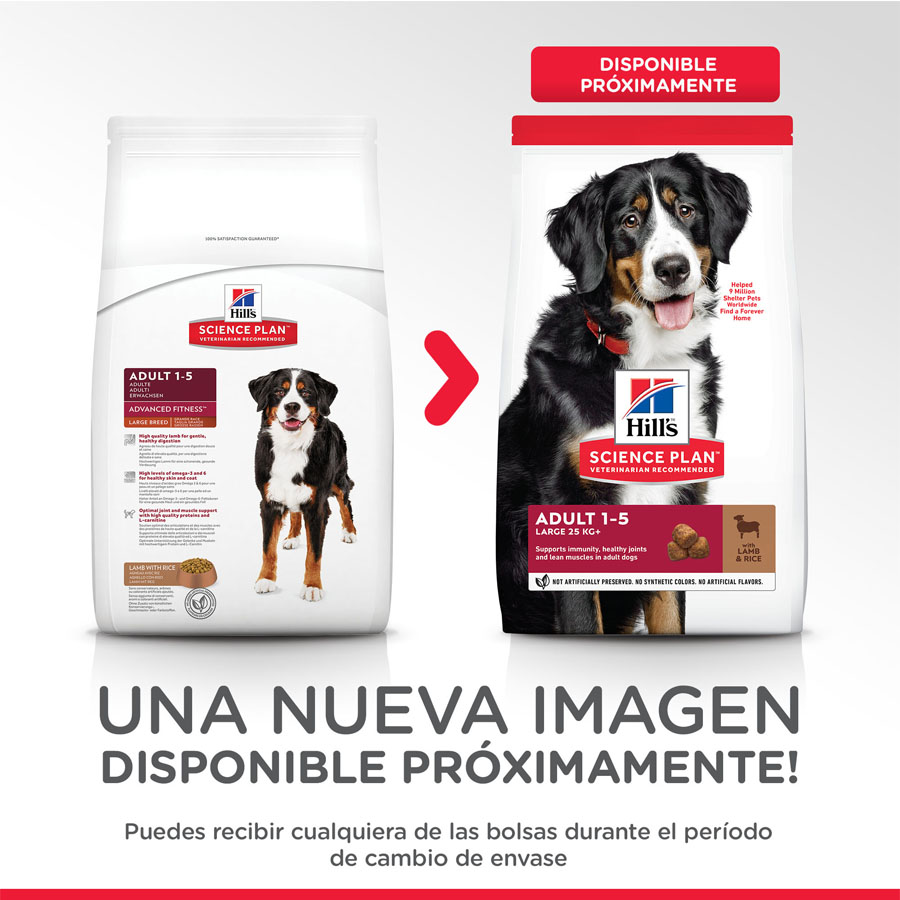 Hill's Large Adult Science Plan Cordero pienso para perros , , large image number null